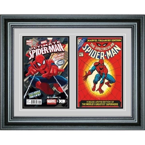 Perfect Cases Perfect Cases DBCMC-PM Double Comic Book Frame with Premium Moulding DBCMC-PM